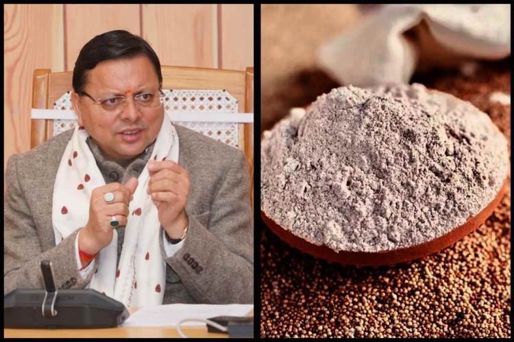 राज्य सरकार ने इस साल  किसानों से 3100 मीट्रिक टन मंडुआ 4200 प्रति कुंतल के मूल्य पर खरीदा