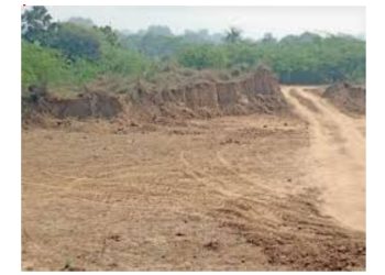 बड़ी खबर: अल्मोड़ा में अवैध खनन और पेड़ों की कटाई पर प्रशासन की सख्त कार्रवाई