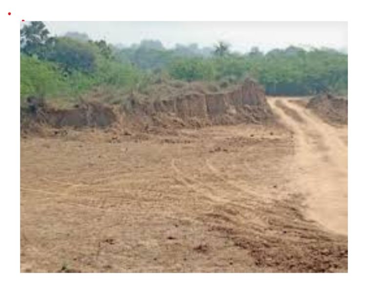 बड़ी खबर: अल्मोड़ा में अवैध खनन और पेड़ों की कटाई पर प्रशासन की सख्त कार्रवाई