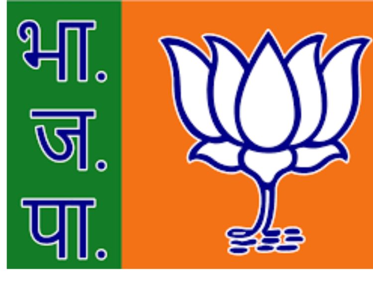 बिग ब्रेकिंग : भाजपा में बड़ा सियासी मंथन: प्रदेश अध्यक्ष की रेस हुई तेज!