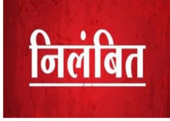 बिग ब्रेकिंग : पैसे मांगने के आरोप में वन दरोगा निलंबित, डीएफओ ने दिए जांच के आदेश