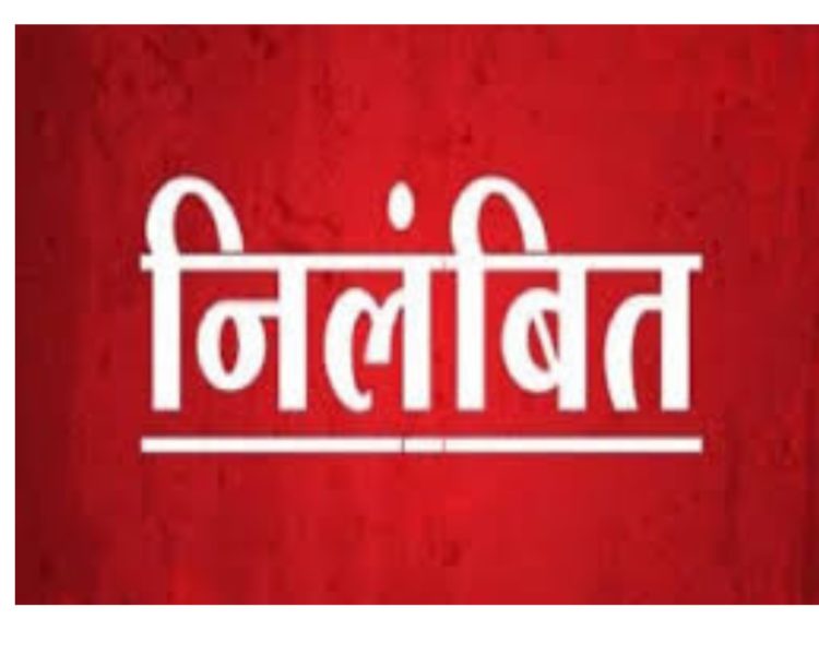 बिग ब्रेकिंग : पैसे मांगने के आरोप में वन दरोगा निलंबित, डीएफओ ने दिए जांच के आदेश