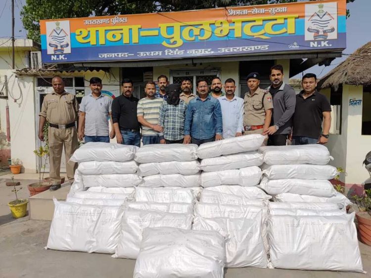 Big breking: झारखंड से उत्तराखंड तक नशे का सफर, STF ने पकड़ी करोड़ों की गांजे की खेप, अंतरराज्यीय तस्कर गिरफ्तार