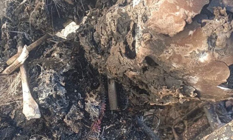 बड़ी खबर : चमोली में जली कार से महिला का कंकाल बरामद, साथ आया पुरुष संदिग्ध हालात में लापता