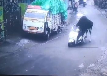 ऋषिकेश में सांड ने दिखाई ‘स्कूटी राइडिंग’ की कला, वीडियो देख लोग बोले– ये तो ट्रैफिक ट्रेंड बना देगा!