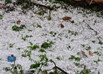 बिग ब्रेकिंग: यमुनाघाटी में भारी ओलावृष्टि से किसानों की फसलें तबाह, मुआवजे की उठी मांग