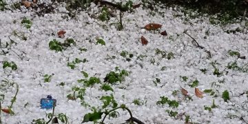 बिग ब्रेकिंग: यमुनाघाटी में भारी ओलावृष्टि से किसानों की फसलें तबाह, मुआवजे की उठी मांग