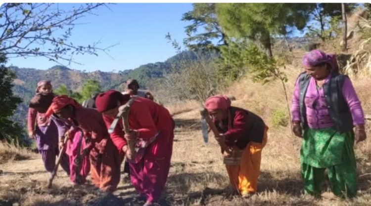 मनरेगा में बड़ा खुलासा: मृत महिला के नाम पर 12 दिन की दिहाड़ी, जांच शुरू