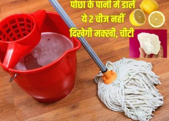 लोगों ने अपनाया ये देसी नुस्खा, घर से खत्म हो गए मक्खी-मच्छर-चींटियां!