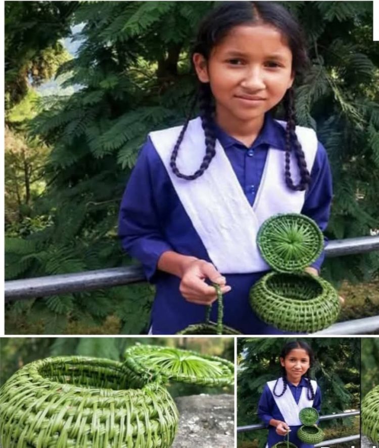 पिरूल से बनीं ईशा की खूबसूरत टोकरियां बनीं चर्चा का विषय, पहाड़ की बेटी ने पेश की मिसाल