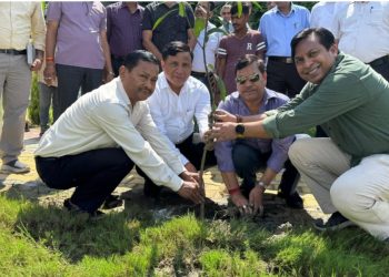 हरेला पर्व पर देहरादून में MDDA की हरित क्रांति: VC बंशीधर तिवारी के नेतृत्व में 60,000 पौधों के रोपण और वितरण से जागी पर्यावरण चेतना