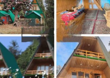 मुनस्यारी ईको हट्स घोटाला: मंत्री के दामाद आईएफएस अफसर पर शिकंजा, CBI और ED जांच की सिफारिश