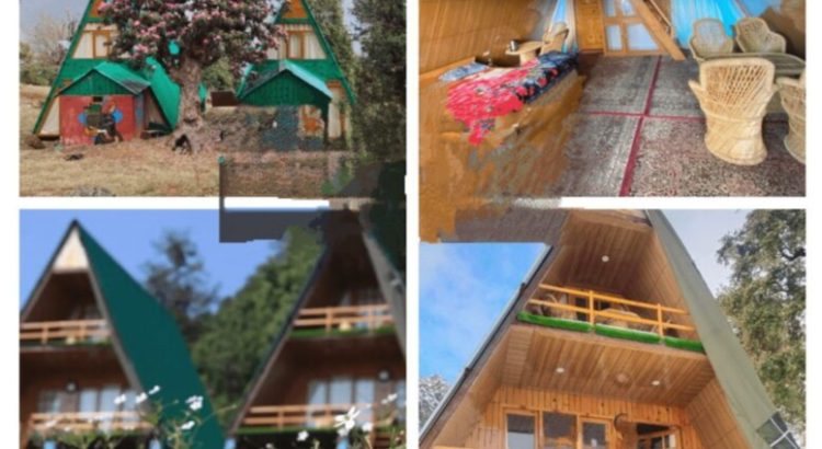 मुनस्यारी ईको हट्स घोटाला: मंत्री के दामाद आईएफएस अफसर पर शिकंजा, CBI और ED जांच की सिफारिश