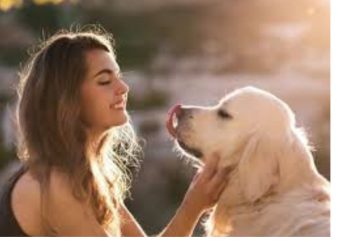 देहरादून नगर निगम का सख्त फैसला: डॉग ओनर्स को मानने होंगे नए नियम, नहीं तो लगेगा जुर्माना