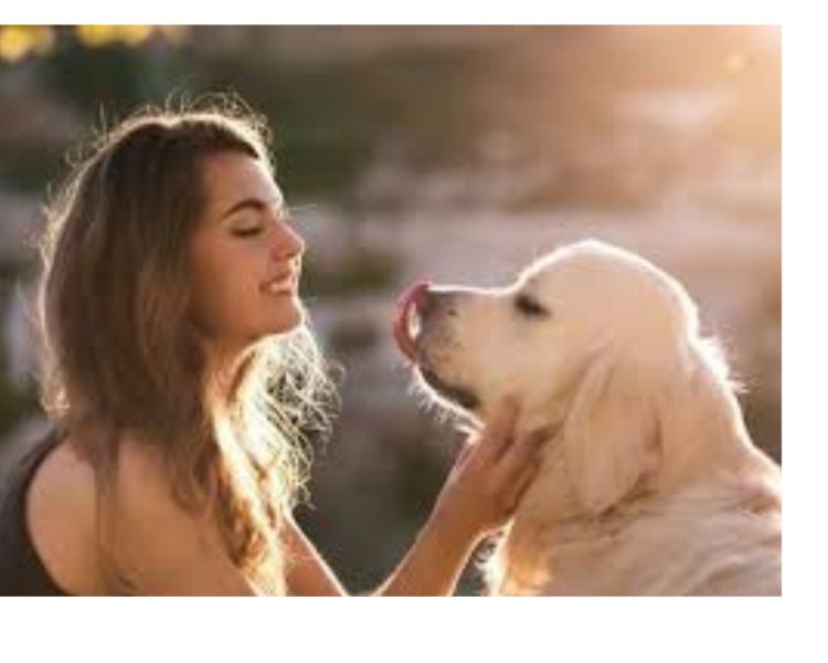 देहरादून नगर निगम का सख्त फैसला: डॉग ओनर्स को मानने होंगे नए नियम, नहीं तो लगेगा जुर्माना