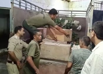 मेनका गांधी का ‘लेटर बम’: अवैध वेनम कारोबार पर वन विभाग में मचा हड़कंप