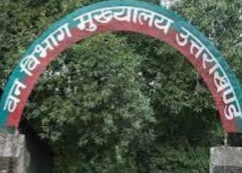 मसूरी फॉरेस्ट डिवीजन से 7375 पिलर गायब, केंद्र ने राज्य सरकार से मांगी रिपोर्ट