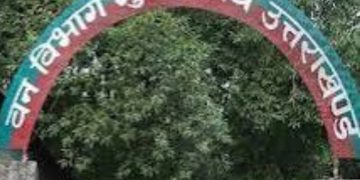 मसूरी फॉरेस्ट डिवीजन से 7375 पिलर गायब, केंद्र ने राज्य सरकार से मांगी रिपोर्ट