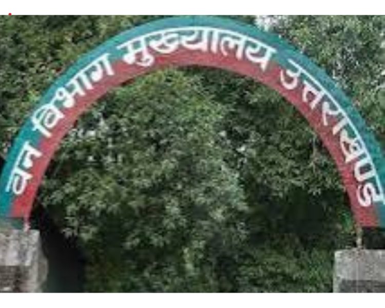 मसूरी फॉरेस्ट डिवीजन से 7375 पिलर गायब, केंद्र ने राज्य सरकार से मांगी रिपोर्ट