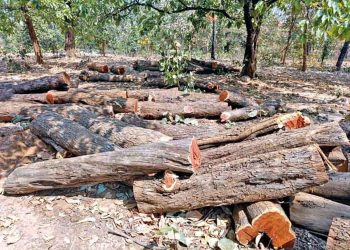 वन माफियाओं की गोलियों से दहला जंगल, ठूंठ पर छोड़ी फिल्मी धमकी