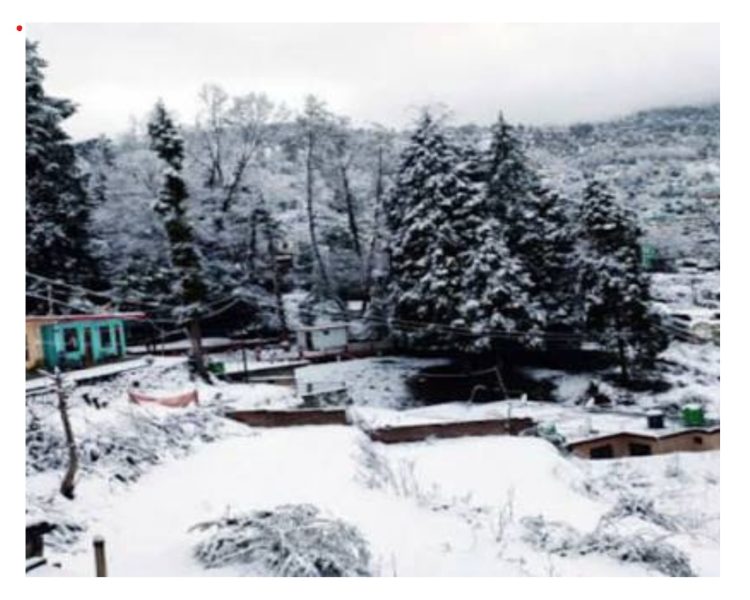 Uttarakhand Weather Alert: ठंड ने दी दस्तक, बारिश और बर्फबारी से फिर बदलेगा मौसम का मिजाज