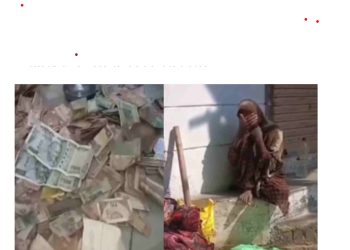 13 साल से सड़क किनारे रह रही थी महिला, हटाया तो थैले से निकले नोटों के बंडल और किलोभर सिक्के!