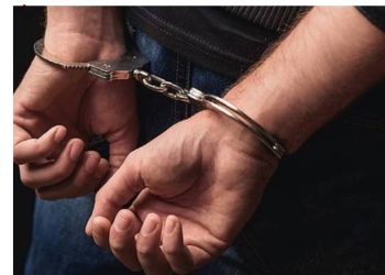 तीन वर्षों में उत्तराखण्ड पुलिस की ऐतिहासिक कार्रवाई — 208 करोड़ से अधिक का नशा बरामद, हजारों तस्कर सलाखों के पीछे