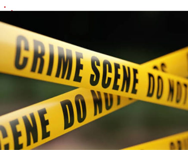 सरकारी जमीन की अवैध खरीद पर 13 साल बाद बड़ी कार्रवाई, हलचल में आया नैनीताल का राजनीतिक गलियारा