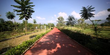 देहरादून का नया हॉटस्पॉट! एमडीडीए का सिटी फॉरेस्ट पार्क बना लोगों की पहली पसंद, प्रकृति–फिटनेस–टूरिज़्म का परफेक्ट कॉम्बो