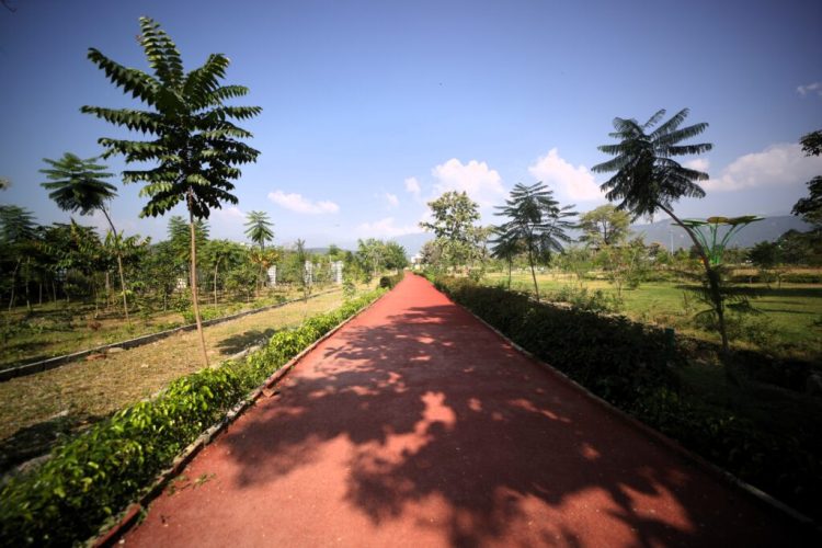 देहरादून का नया हॉटस्पॉट! एमडीडीए का सिटी फॉरेस्ट पार्क बना लोगों की पहली पसंद, प्रकृति–फिटनेस–टूरिज़्म का परफेक्ट कॉम्बो