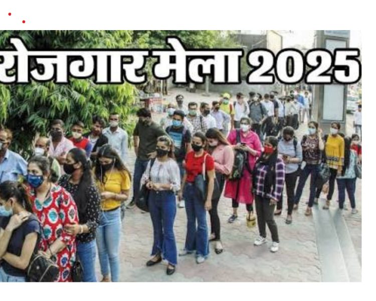 रोजगार का सुनहरा मौका! 11 नवंबर को लगेगा मेगा जॉब फेयर, 1500 युवाओं को मिल सकती है नौकरी