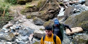 नैनीताल की पहाड़ियों में लापता छात्र 20 घंटे बाद सुरक्षित मिला; SDRF–पुलिस की संयुक्त टीम ने चलाया रेस्क्यू ऑपरेशन