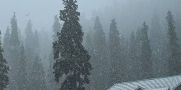 Uttarakhand Weather Forecast: ठंडी हवाओं की दस्तक। आज इन जिलों में बारिश और बर्फबारी का अलर्ट