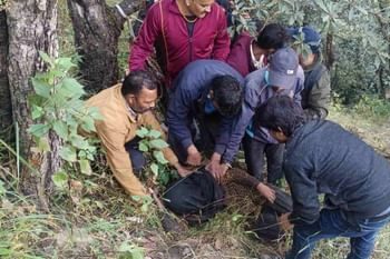 पोखरी में बड़ा हादसा: घास लेने गई महिला पर भालू का हमला, रातभर जंगल में छिपकर बचाई जान