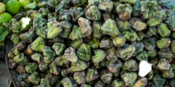 Health Tips: पौष्टिकता से भरपूर जलीय फल जो रखे शरीर को फिट और हेल्दी। वजन घटाने में शानदार