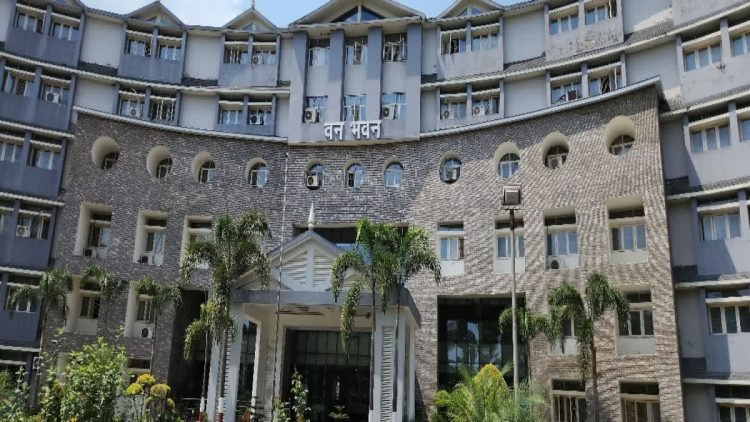 हाईकोर्ट पहुंचा वन विभाग का मुखिया विवाद: सीनियरिटी दरकिनार, फिर सुर्खियों में आया विभाग