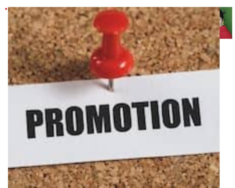 नए साल पर अफसरों की बल्ले-बल्ले: उत्तराखंड में IAS-IPS को प्रमोशन का बड़ा तोहफा