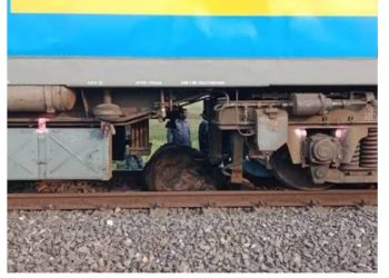 रेलवे ट्रैक पर दर्दनाक हादसा: शिशु हाथी की ट्रेन की चपेट में आकर मौत, लोको पायलट हिरासत में