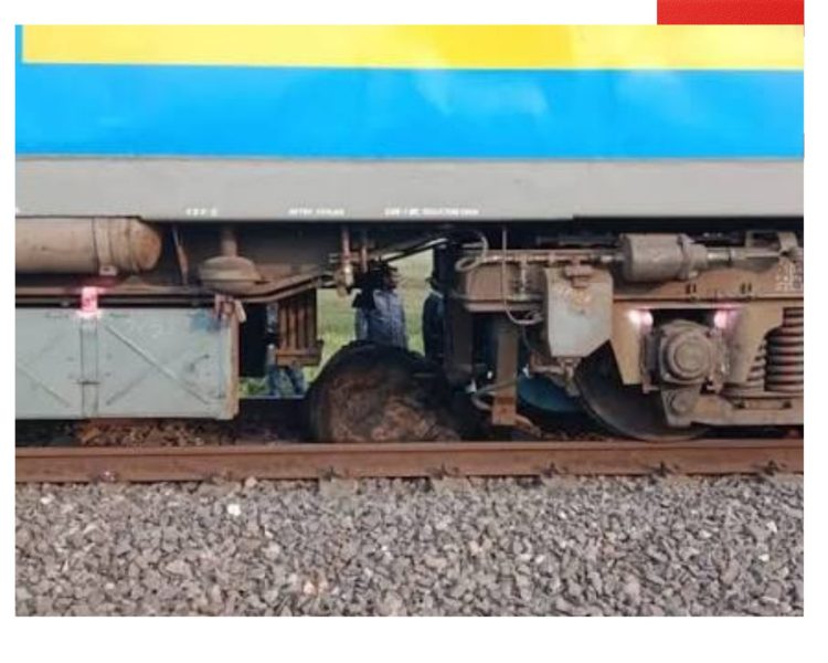 रेलवे ट्रैक पर दर्दनाक हादसा: शिशु हाथी की ट्रेन की चपेट में आकर मौत, लोको पायलट हिरासत में