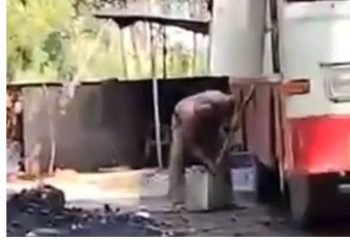 वीडियो में पकड़ाई ‘डीज़ल माफियाओं’ की करतूत, सड़क किनारे बस से हो रहा था चोरी का धंधा