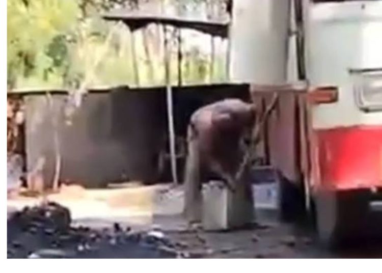 वीडियो में पकड़ाई ‘डीज़ल माफियाओं’ की करतूत, सड़क किनारे बस से हो रहा था चोरी का धंधा