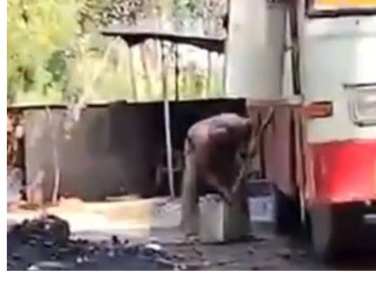 वीडियो में पकड़ाई ‘डीज़ल माफियाओं’ की करतूत, सड़क किनारे बस से हो रहा था चोरी का धंधा