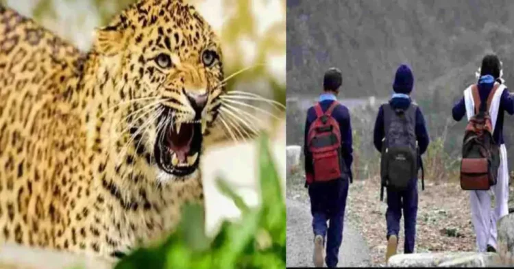 गुलदार के आतंक से सहमा पांडे गांव, भीमताल क्षेत्र के सभी सरकारी स्कूल एक हफ्ते के लिए बंद