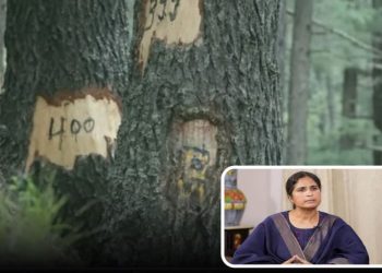 गंगोत्री नेशनल पार्क में 6,000 देवदारों की कटाई पर संसद में उठा सवाल