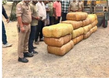 हिस्ट्रीशीटर दंपति ने नाबालिग बेटे से करवाई हेरोइन तस्करी, STF ने 33 लाख की स्मैक की बरामद