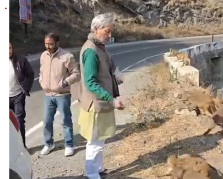 बड़ी खबर: बंदरों को दाना डालते दिखे पूर्व मुख्यमंत्री तीरथ सिंह रावत, बढ़ती समस्या पर उठे सवाल
