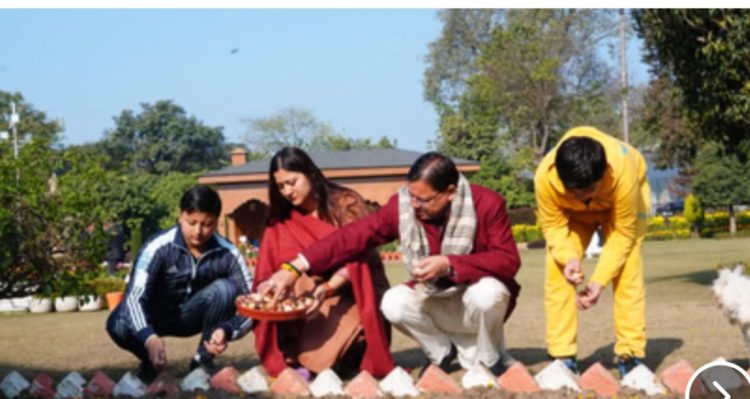 मुख्यमंत्री धामी ने ट्यूलिप उत्पादन अभियान का किया शुभारंभ, सीएम आवास में लगाए 4 हजार ट्यूलिप बल्ब