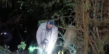 हादसा: खाई में गिरी पाँच लोगो से भरी स्विफ्ट कार