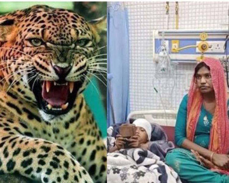 काशीपुर में खौफनाक मंजर: गुलदार बच्चे को उठा ले गया, मां ने छीनकर बचाई जान