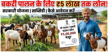 कम लागत में बड़ा मुनाफा: बकरी पालन के लिए सरकार दे रही ₹5 लाख तक लोन